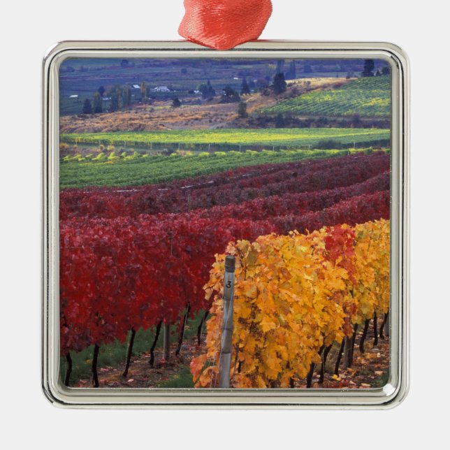 Intense red and yellow fall colours on Gehring Metal Ornament (Front)