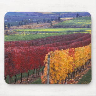 Intense red and yellow fall colours on Gehring Mouse Pad