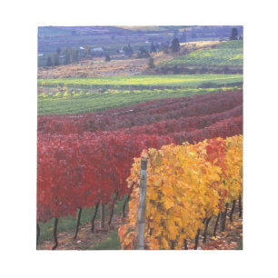 Intense red and yellow fall colours on Gehring Notepad