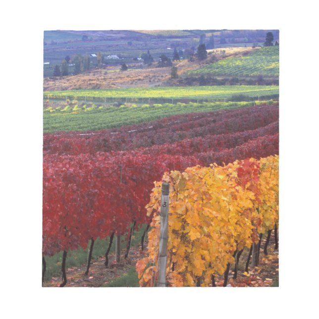 Intense red and yellow fall colours on Gehring Notepad (Front)