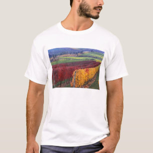 Intense red and yellow fall colours on Gehring T-Shirt
