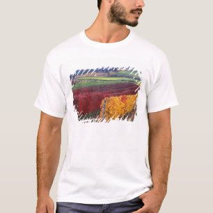 Intense red and yellow fall colours on Gehring T-Shirt