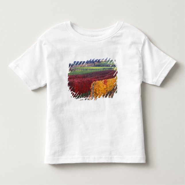 Intense red and yellow fall colours on Gehring Toddler T-Shirt (Front)