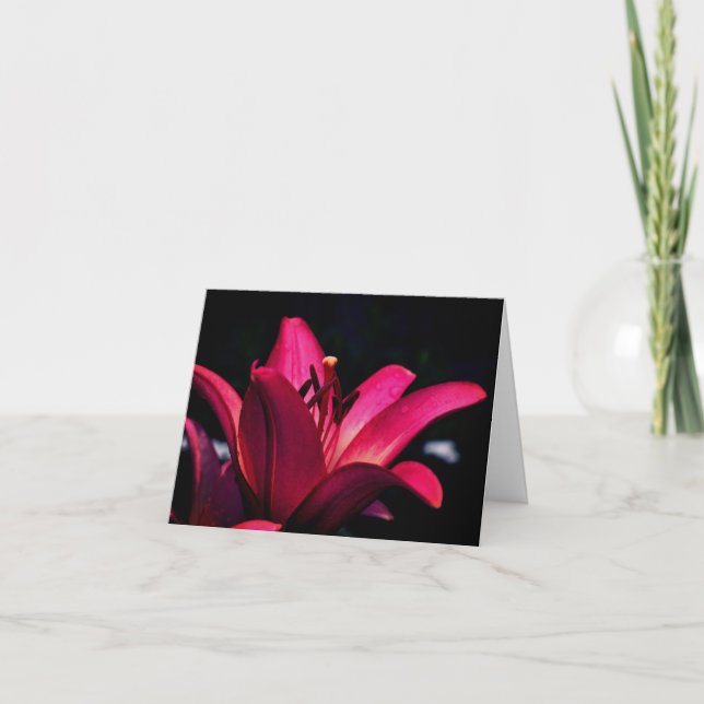 Intense Red Lily Flower Photography  Note Card (Front)