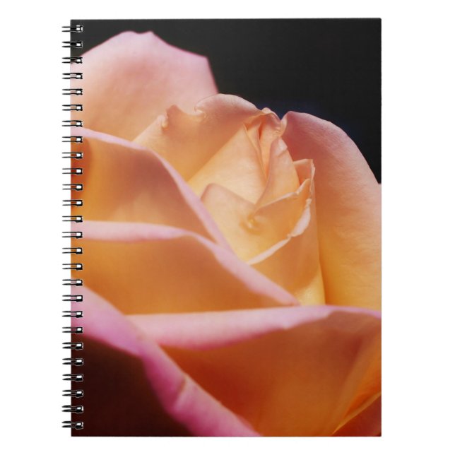 Intense Yellow Rose Flower Nature Notebook (Front)