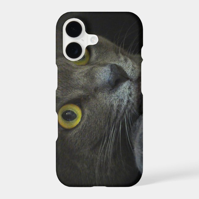 Intensity iPhone Case-Mate (Back)