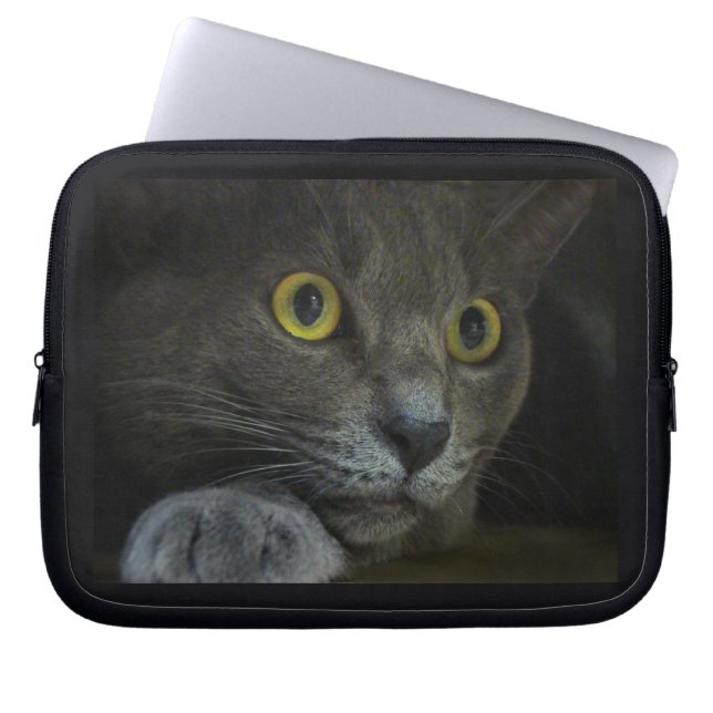 Intensity Laptop Sleeve (Front)