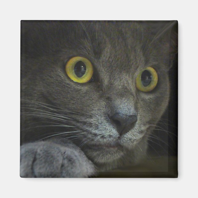 Intensity Magnet (Front)