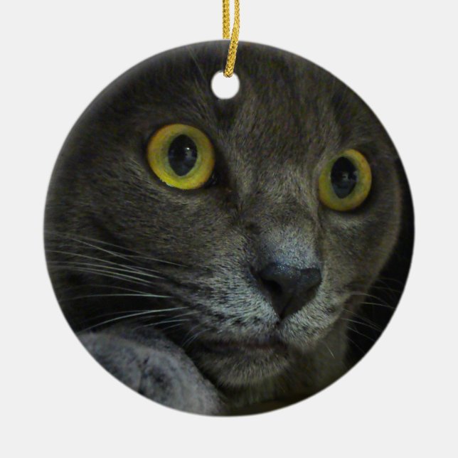 Intensity Ornament (Front)