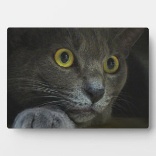 Intensity Photo Plaque