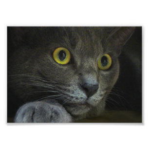 Intensity Photo Print