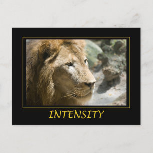 Intensity Postcard