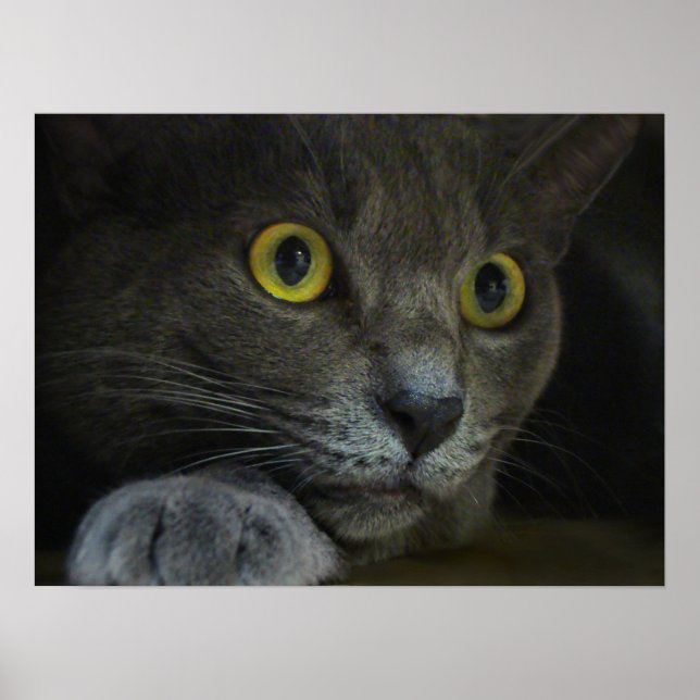 Intensity Print (Front)