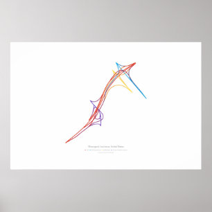Interchange Choreography: Shreveport, LA, US 1 Poster