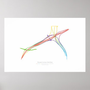 Interchange Choreography: Shreveport, LA, US 2 Poster