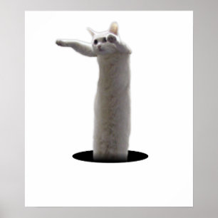 interdimensional LongCat Poster