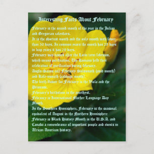 Interesting facts about February Postcard