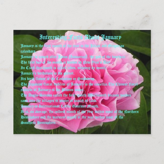 Interesting facts about January Postcard (Front)