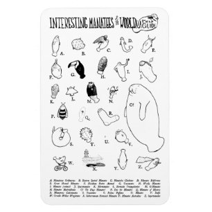 Interesting Manatees magnet