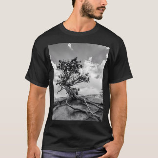 Interesting Pine Tree On Queens Garden Trail T-Shirt