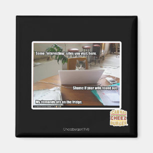 Interesting sites magnet