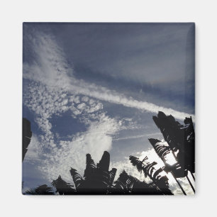 Interesting Sky Magnet