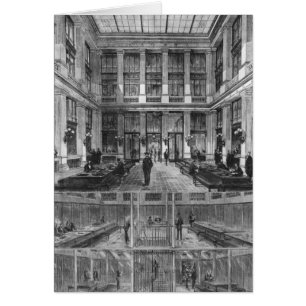 Interior and cross-section