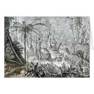 Interior of a Primeval Forest in the Amazons