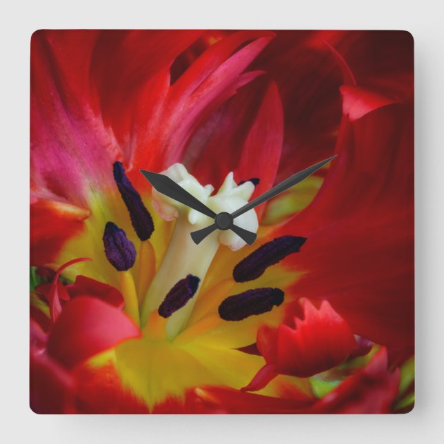 Interior of parrot tulip flower square wall clock (Front)