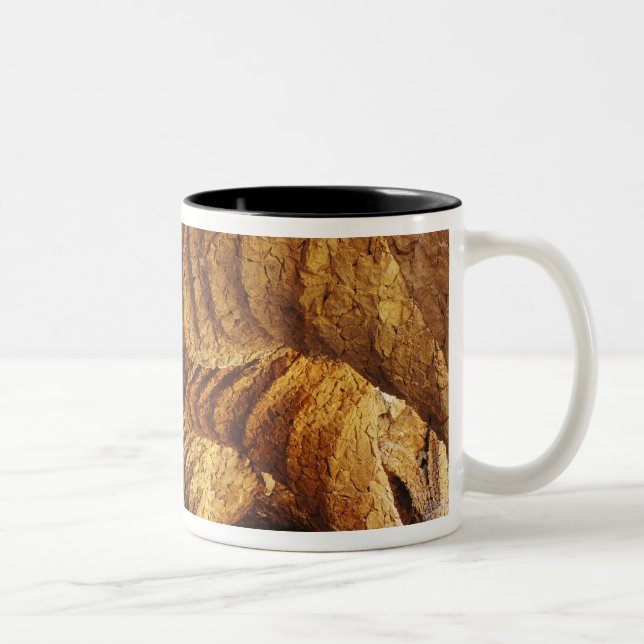 Interior vault (stone) Two-Tone coffee mug (Right)
