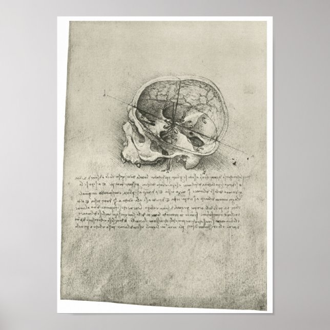 Interior View of the Skull, Leonardo da Vinci Poster (Front)