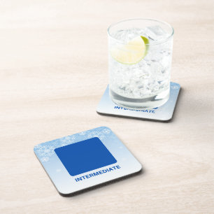 Intermediate Blue Square Ski Trail Sign Coaster