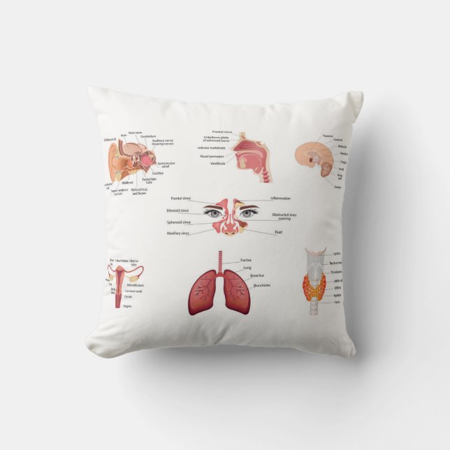  Internal human body organs Cushion (Front)