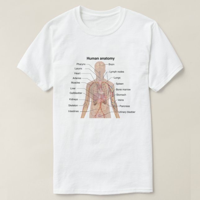 Internal Organs Human Body Anatomy Chart T-Shirt (Design Front)