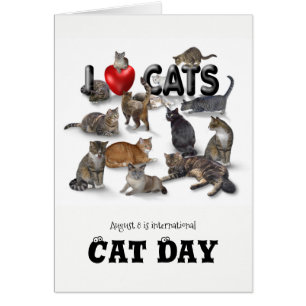 International Cat Day