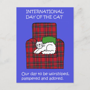 International Cat Day, August 8th, Cartoon. Postcard