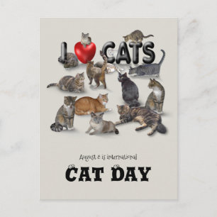International Cat Day Postcard
