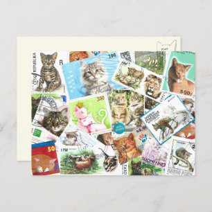 International Cat Postage Stamp Postcard