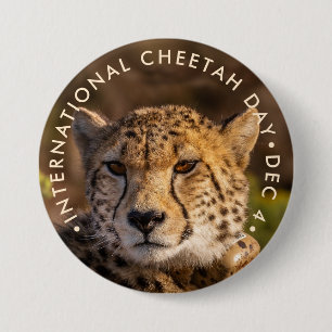 International Cheetah Day 7.5 Cm Round Badge