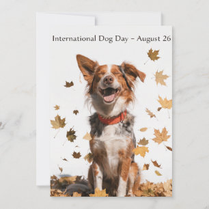 International Dog Day Australian Shepherd Art Holiday Card