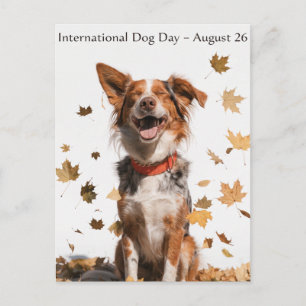 International Dog Day Australian Shepherd Art Holiday Postcard