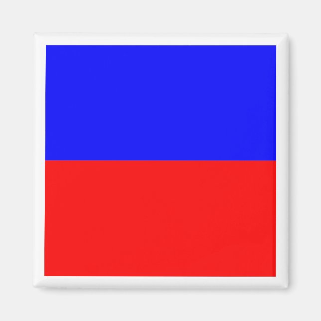 International Maritime Signal Flag ECHO Magnet (Front)