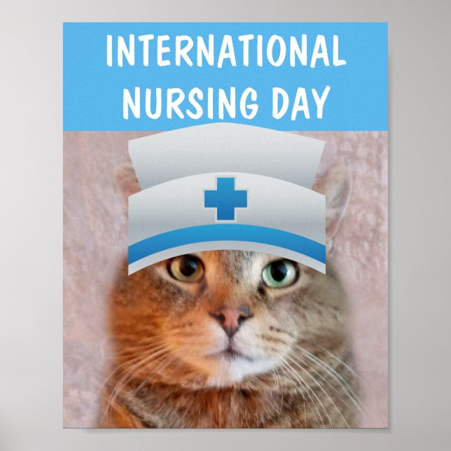 International Nursing Day Cute Cat Poster (Front)