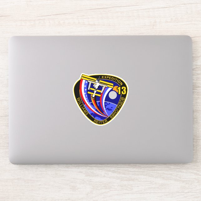 International Space Station Expedition ISS-13 (Computer)