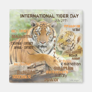 International Tiger Day, July 29, Typography Art Magnet