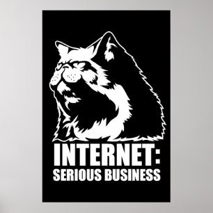 Internet: Serious Business (lolcat funny tshirt) Poster