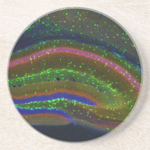 Interneuron 6 coaster
