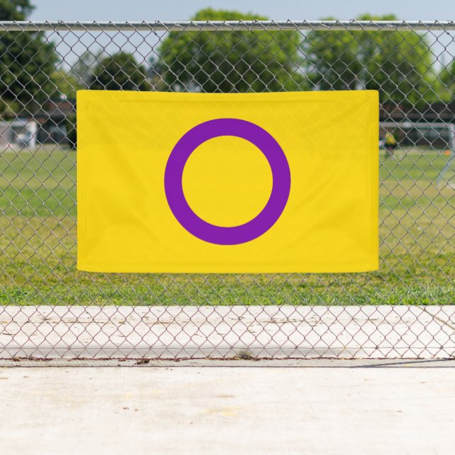 Intersex Pride Flag Banner (Insitu)