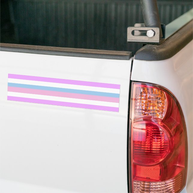 INTERSEX PRIDE FLAG BAR BUMPER STICKER (On Truck)