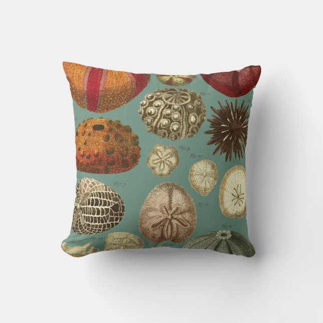 Intestina et Mollusca Linnaei Cushion (Front)
